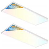 Allsmartlife 1x2 FT LED Panel 24W, 5CCT