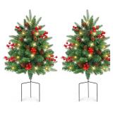 XmasExp 2-Pack Outdoor Xmas Tree Lights
