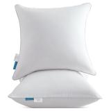 Oubonun 24x24 Pillow Inserts (Set of 2)