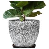 10 Inch Ceramic Plant Pot with Drainage Hole