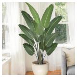 $130 Bird of Paradise Tree 6FT, 70' Black Pot