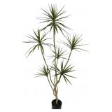 $130 Artificial Dracaena marginata 6ft Fake Plant