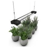 DYMOND BoostGro LED Grow Light: 5000K/660nm