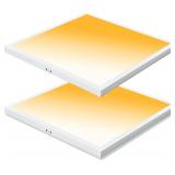 $162 2x2 LED Panel Light 40/30/20W, 0-10V, 24' Sq