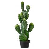 Serene Spaces Artificial Cactus 11' tall