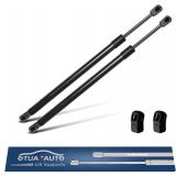OTUAYAUTO Hatch Struts (2) for Town & Country