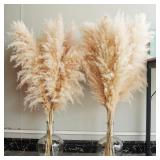 40' Pampas Grass, 10 Stems - Natural Decor