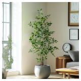 Ficus Tree 5ft, Potted Silk Leaves