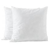 26x26 Euro Pillow Inserts - Memory Foam-2 Pack