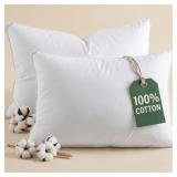 100% Cotton King Pillows (2)