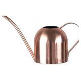 E.Palace Stainless Steel Watering Can 30 oz