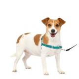 PetSafe Easy Walk Harness, No Pull Teal S