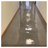 $150 Waterproof Non-Slip Carpet Protector Mat