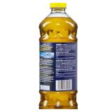 Lestoil 48-oz Degreaser