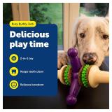 (READ) PetSafe Busy Buddy Jack (USED)