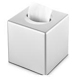 Y-in Tissue Box Cover, Silver
