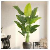 $111 Bird of Paradise Plant 6.5ft Tall White Pot