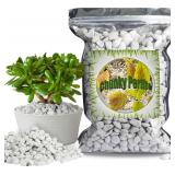 Doter Organic Perlite for Plants 4 Quarts