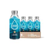 4pk Proud Source Alkaline Spring Water, 16oz