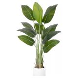 Bird of Paradise 5ft Fake Plant in White Pot