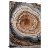 IBHJSART Framed Tree Ring Wall Art Rustic