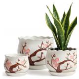 STHIE Ceramic Plant Pots Set of 3