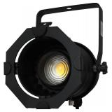 Black Aluminum Par 30 Light Fixture with LED
