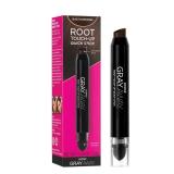 EVERPRO Gray Away Root Touchup Quick Stick