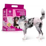 American Kennel Club Female Dog Wrap (L)