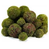 Moss Balls Set - 18pcs for Decor, DIY