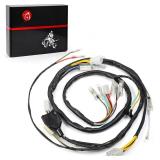 MOTO1988 Wire Harness for Kawasaki Bayou 300
