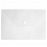 Lion Design-R-Line Oversized Envelope, 6-pack