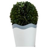 Mud Pie Scalloped Boxwood Pot, Small, 4' x 3'