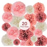 EpiqueOne 20 Pc Tissue Paper Pom Poms