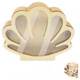 Seashell Display Box with Clear Acrylic Front