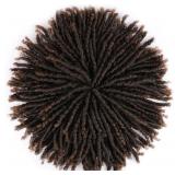 Small Curly Fluffy Wig, Black Dreadlock