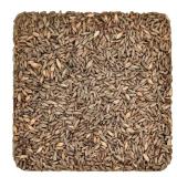 Briess-BM-5332 Rye Malt (5 lb) - Brown