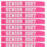 Senior 2026 Sashes with Silver Glitter Letters