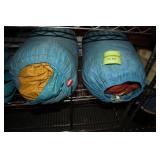 2 Sleeping Bags