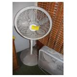 Fan Lot