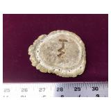 Moose Antler Belt Buckle