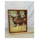 Framed wildlife print. Clock 21ï¿½ x 17ï¿½