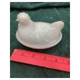 Hen on Nest
