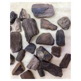 Possibly Petrified Wood Rocks