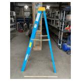 Werner 6ï¿½ Fiberglass Ladder