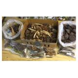 Shelf of Dried Pods/Flowers