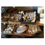 2 Shelves of Raw Ceramics