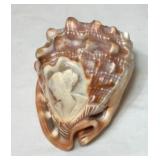 Vintage Carved Shell