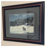 Framed Wildlife Photograph: Dog at Mountain Lodge