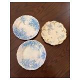 ANTIQUE HAND-PAINTED CHINA PLATE LOT  C.T.